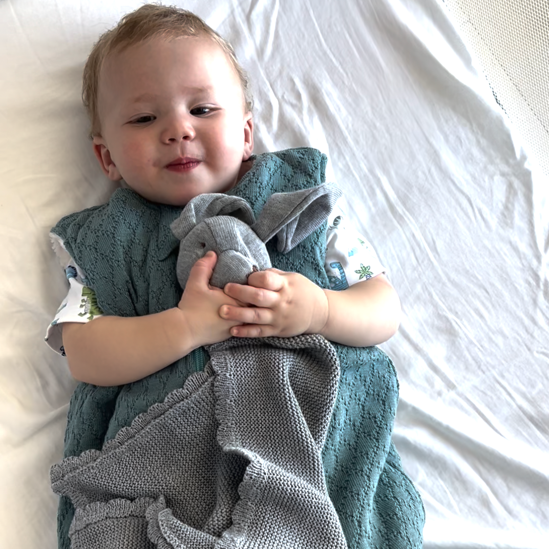 Manta De Apego Perrito