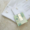 Money Clip Aria