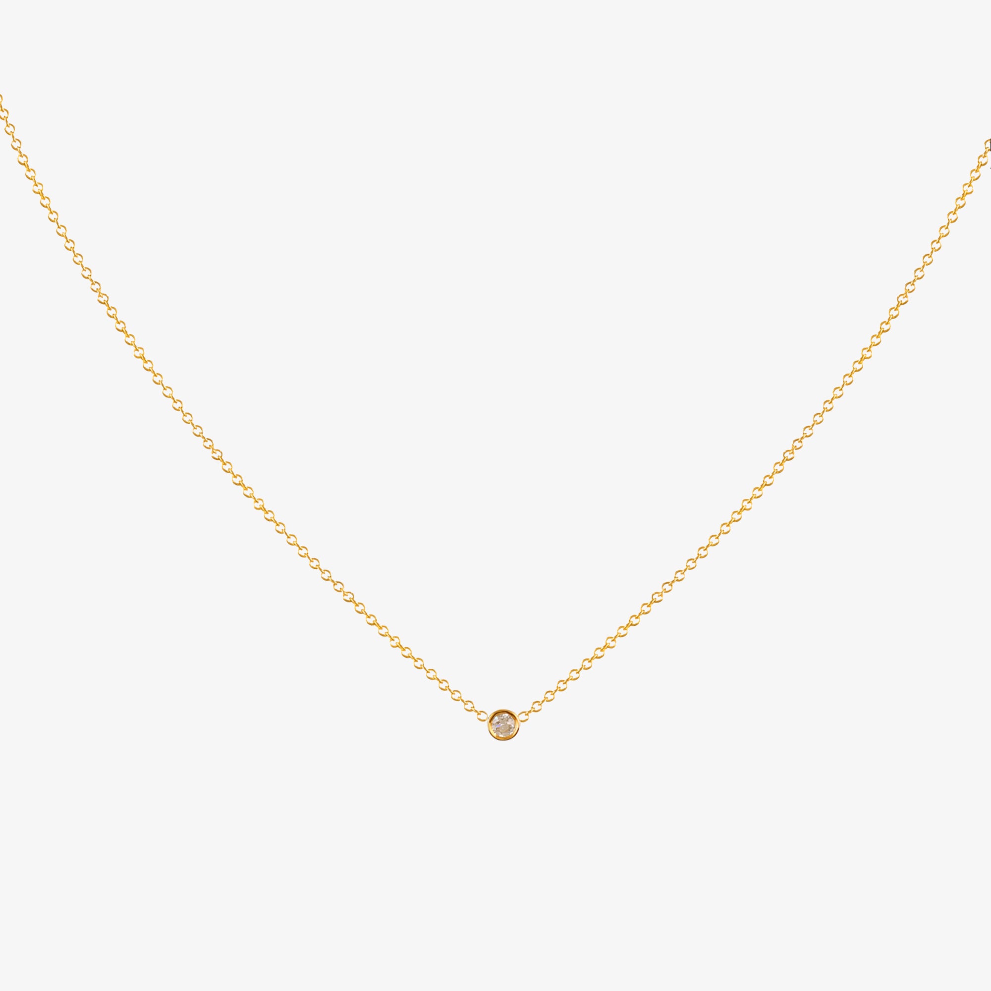 Collar Rocky